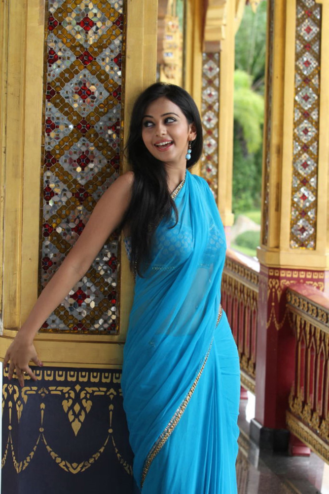 Actress Gallery 6-Tamil-Telugu-Kannada-Malayalam Actress