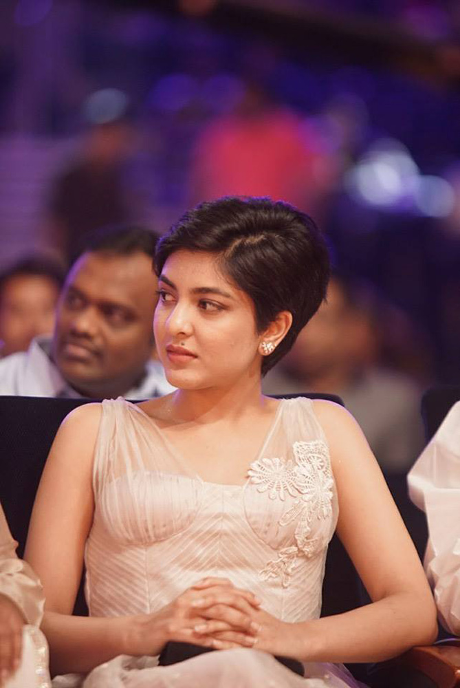 https://onlookersmedia.in/wp-content/uploads/2015/09/SIIMA-awards-2015-stills-photos-149.jpg