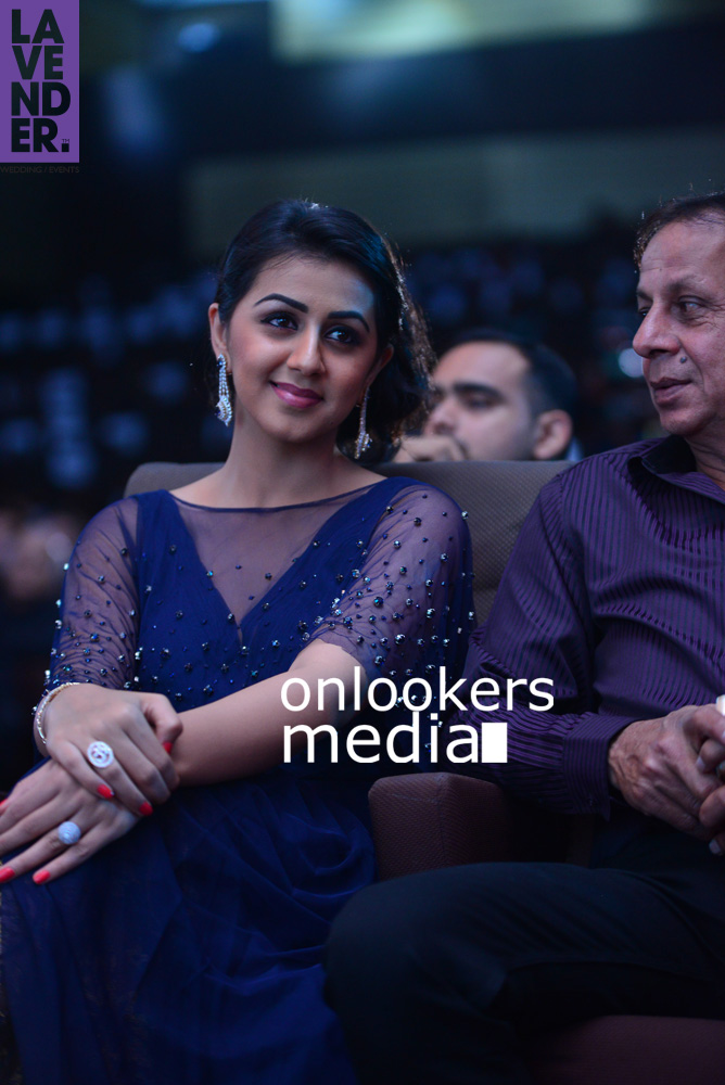 https://onlookersmedia.in/wp-content/uploads/2015/11/Nikki-Galrani-at-ALIIFF-Golden-Frame-Awards-2015-Stills-Photos-13.jpg