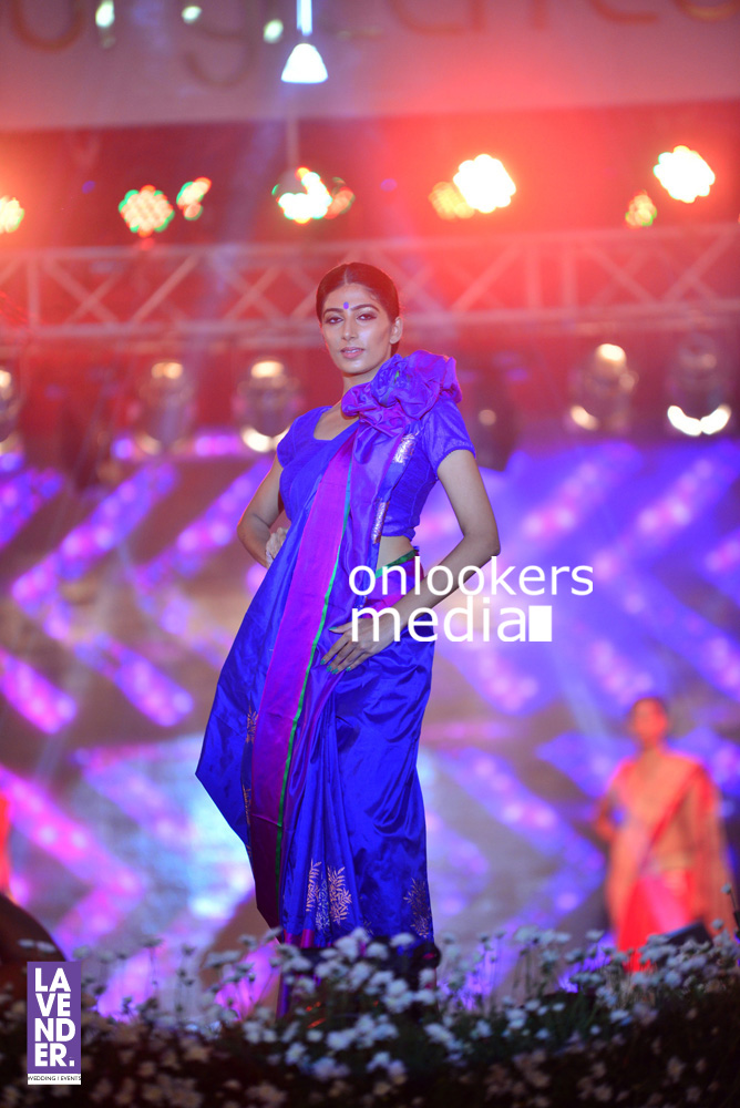 https://onlookersmedia.in/wp-content/uploads/2016/07/Saptamukhi-2016-Mahalekshmi-Silks-fashion-show-stills-photos-169.jpg